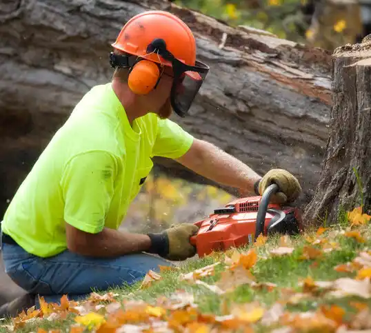 tree services Cavetown